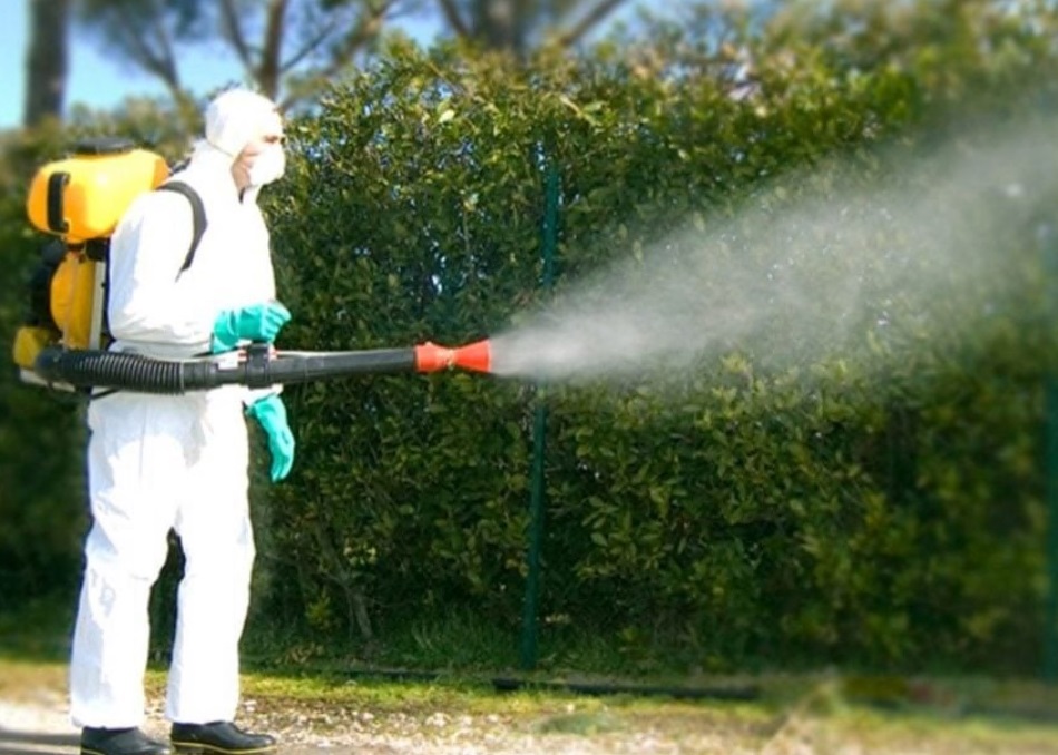 Pressing sul Comune di Vercelli contro i diserbanti