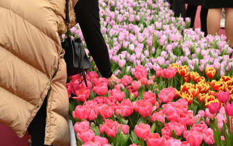 Primavera in fiore al Torino Outlet Village
