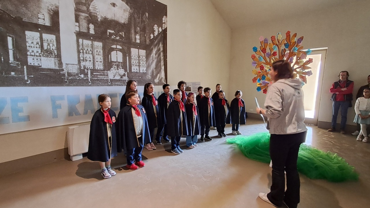 Le Stanze Francescane: così gli alunni vercellesi vivono San Francesco