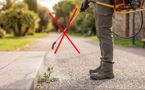 Una firma per vietare tutti i diserbanti dannosi in città