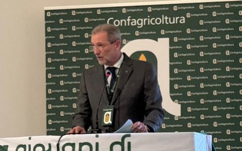 Confagricoltura Vercelli-Biella: “Così l’Europa uccide la risicoltura”