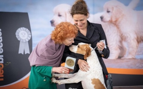 Domenica Borgo d’Ale torna capitale dei Cani di Razza, attesi 700 esemplari