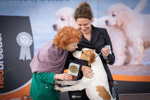 Domenica Borgo d’Ale torna capitale dei Cani di Razza, attesi 700 esemplari