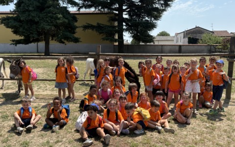 “Ti racconto una favola”: un’estate di emozioni e scoperte alla Scuola dell’Infanzia Sacro Cuore di Vercelli