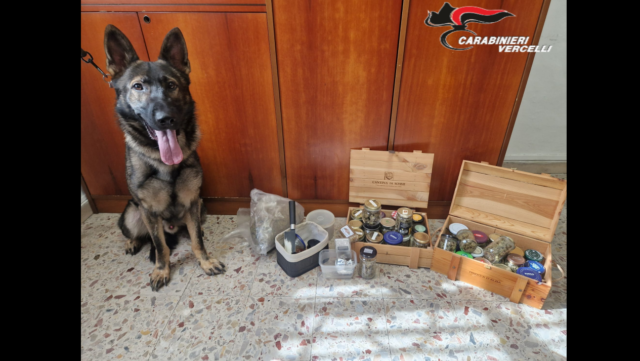 Cinquantenne incensurato in possesso di oltre 1,4 kg di stupefacenti: arrestato dai Carabinieri