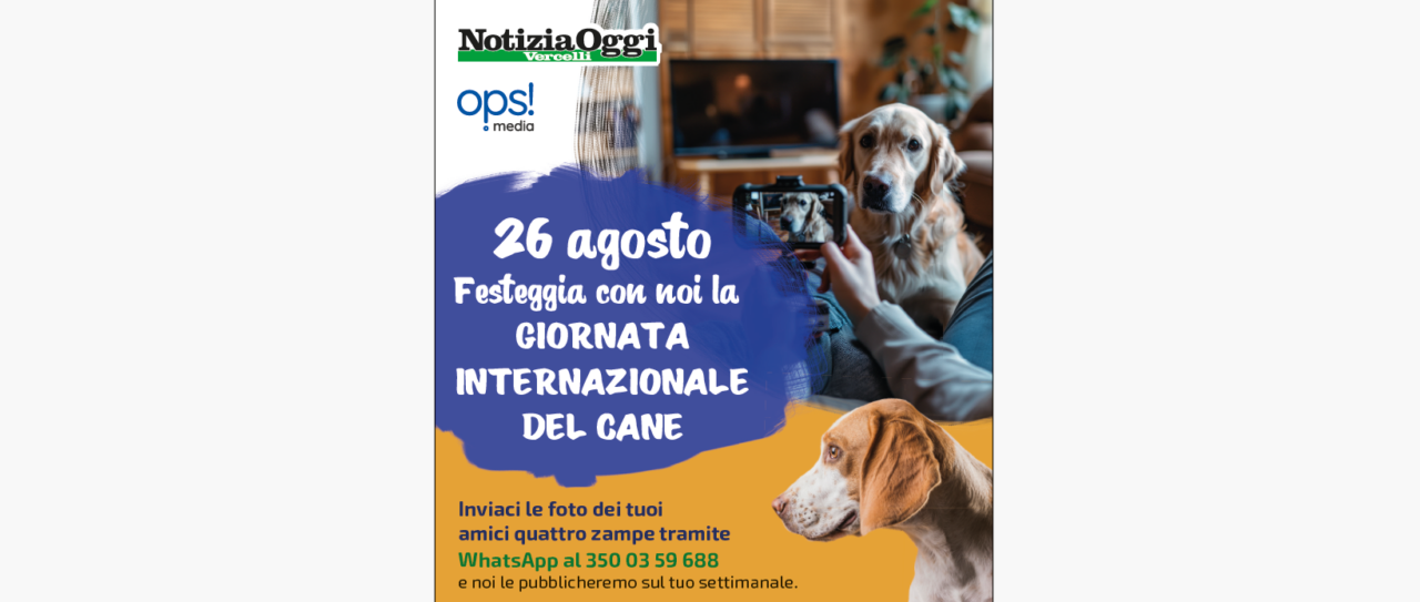 Giornata internazionale del Cane: mandateci le foto dei vostri amici a quattro zampe