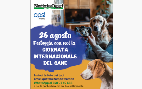 Giornata internazionale del Cane: mandateci le foto dei vostri amici a quattro zampe