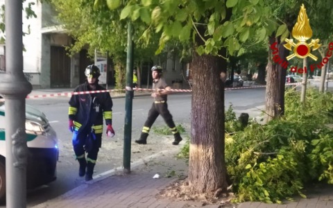 Il forte vento spezza i rami in corso Gastaldi: i Vigili del Fuoco ripristinano la situazione