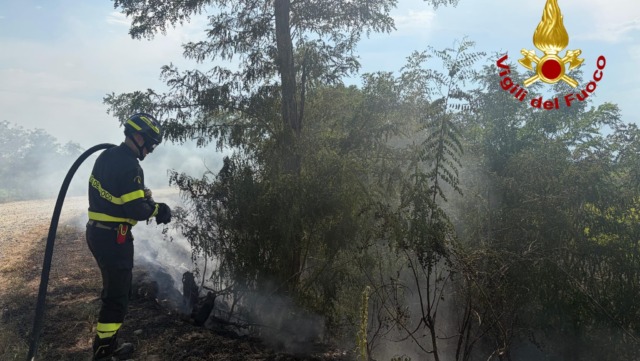 Incendio sterpaglie a Caresanablot, intervengono i Vigili del Fuoco
