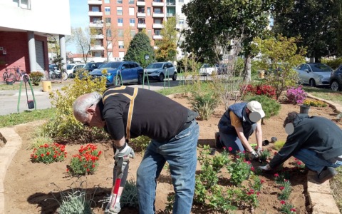 Giardinieri autistici all’opera nell’area verde dell’Ospedale grazie alla Borsa Lavoro Inclusiva dell’ASL