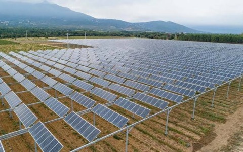 Agrivoltaico, Coldiretti fa muro: niente pannelli e niente “stazioni di snodo” nelle risaie vercellesi