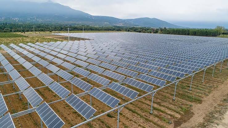 Agrivoltaico, Coldiretti fa muro: niente pannelli e niente “stazioni di snodo” nelle risaie vercellesi