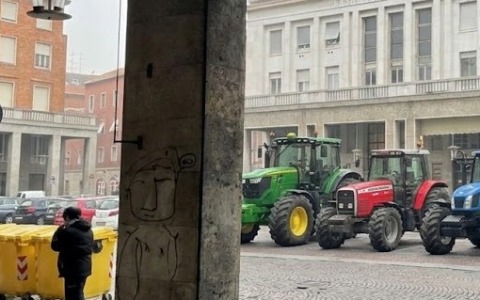 Emergenza aziende che coltivano riso: domani il flashmob di Coldiretti