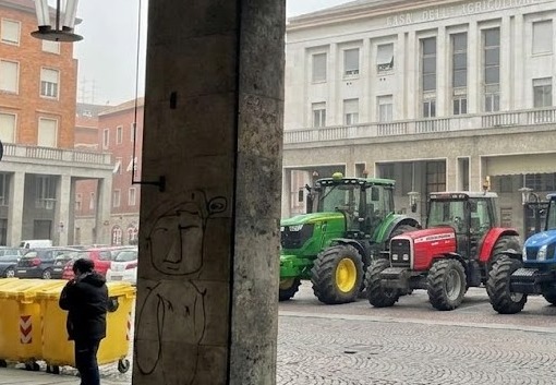 Emergenza aziende che coltivano riso: domani il flashmob di Coldiretti