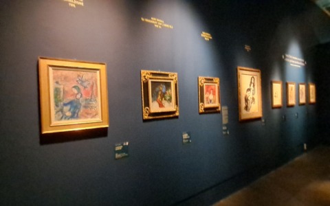 Chagall a Vercelli: in sei giorni già tremila visitatori in ARCA