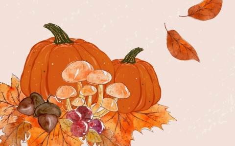 Al Sacro Cuore International School le iniziative si rincorrono: arriva la Festa d’Autunno